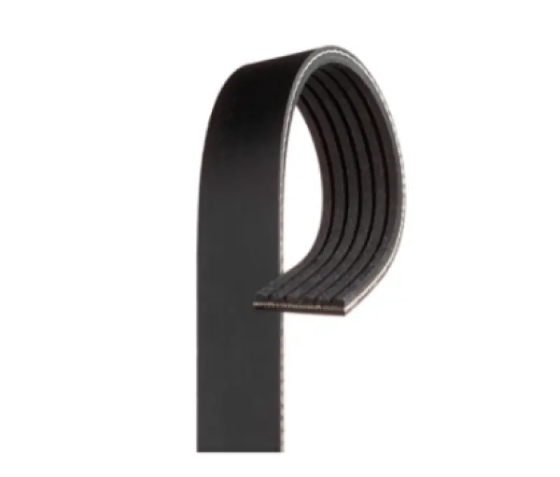 Gates Micro-V Serpentine Belt – 8-Rib, 49.11-Inch Length, Performance Fit 1