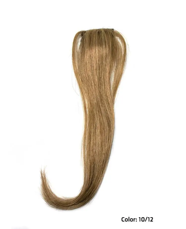 313A H Add-On - Single Clip By Wigpro: Human Hair Piece 1