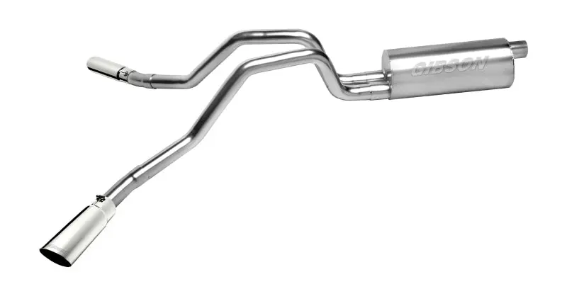 Gibson Stainless Steel Cat-Back Dual Exhaust System For 2009–2010 Ford F-150 Fx4 5.4L 1