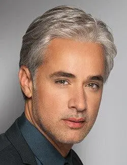 Classic Wig By Him | Heat Friendly Synthetic 1