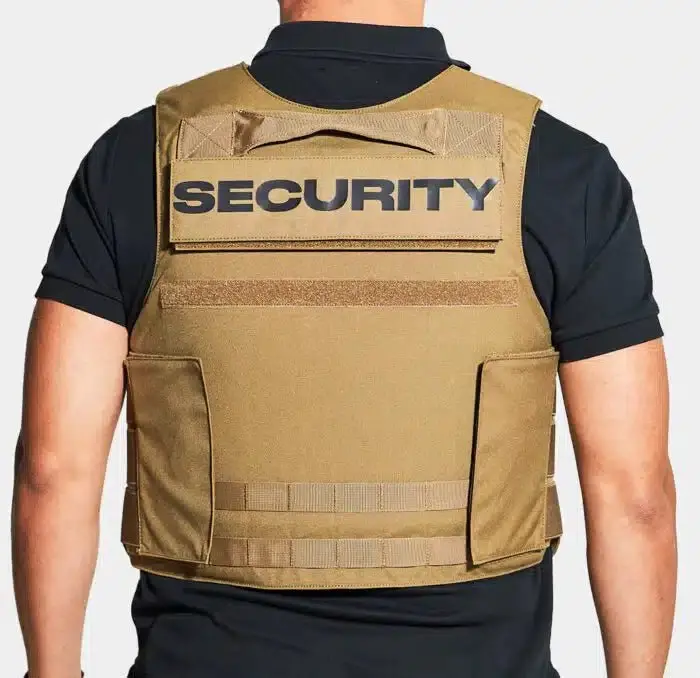 Ace Link Armor Security Patch 1