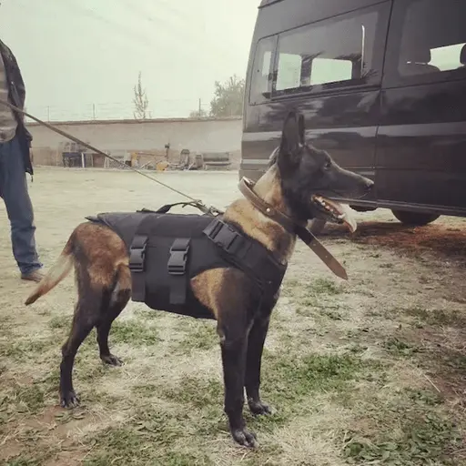 Execdefense Usa Dog Black (Canine / K9) Ballistic Vest (Iii-A) 2